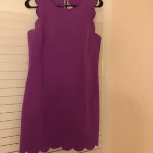 JCrew Scalloped Dress